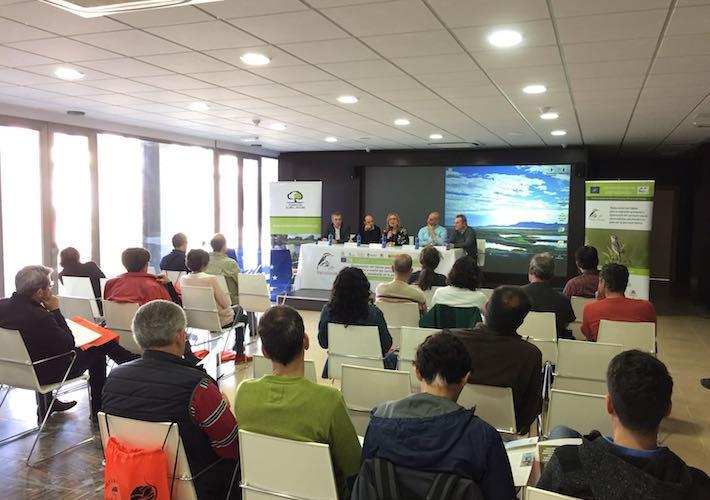 Más de 15 expertos comparten conocimientos para la conservación de aves palustres en Torreblanca