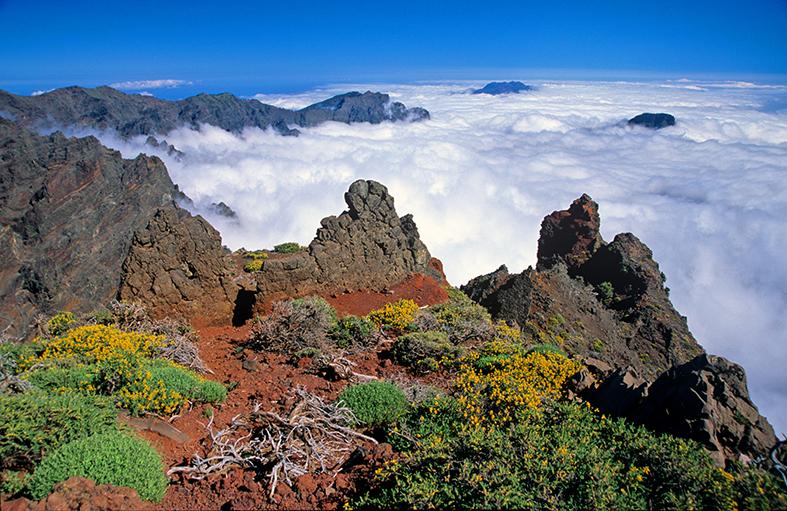 La Reserva de la Biosfera de La Palma avanza en el proyecto para aumentar el atractivo turístico de